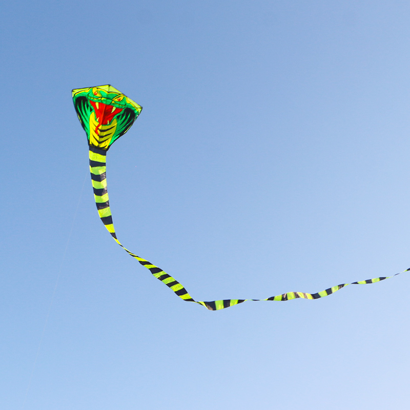 Paradise Bird 8m/15m Snake Kit - Outdoor Sport Outlet 리뷰 및 가격