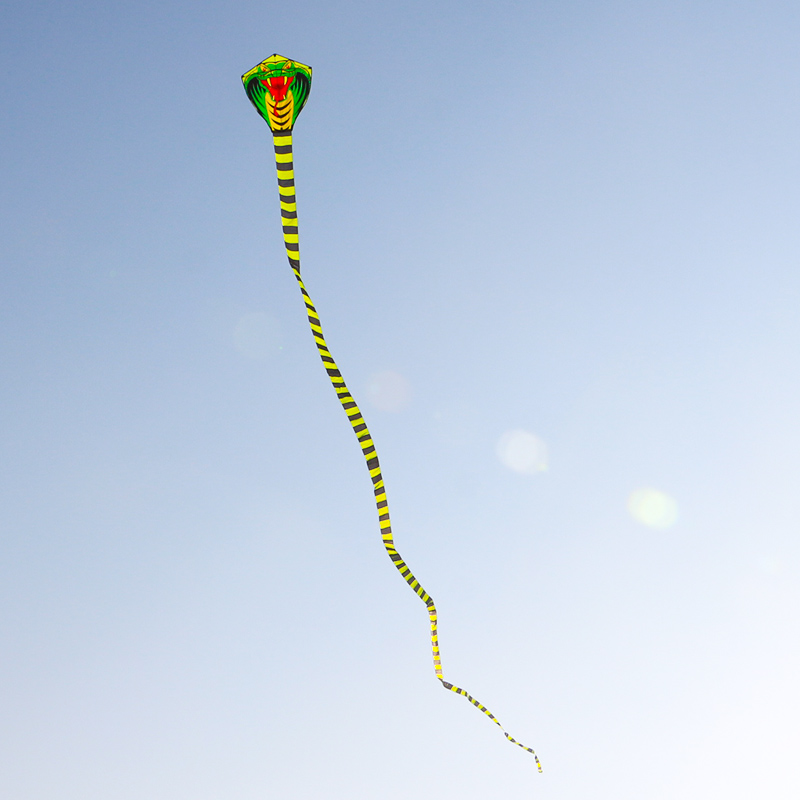 Paradise Bird 8m/15m Snake Kit - Outdoor Sport Outlet 리뷰 및 가격