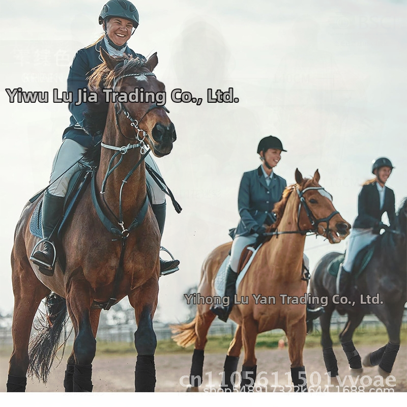 Set of 4 Amazon Equestrian Pol - Polo Wraps Fleece 리뷰 및 가격